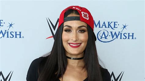 nikki bella net worth|Nikki Bellas Net Worth 2024, Her Current Income, Personal Life。